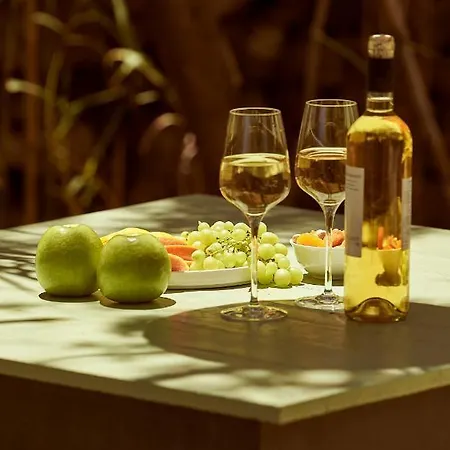 Nature Eco Living Serifos 酒店 *